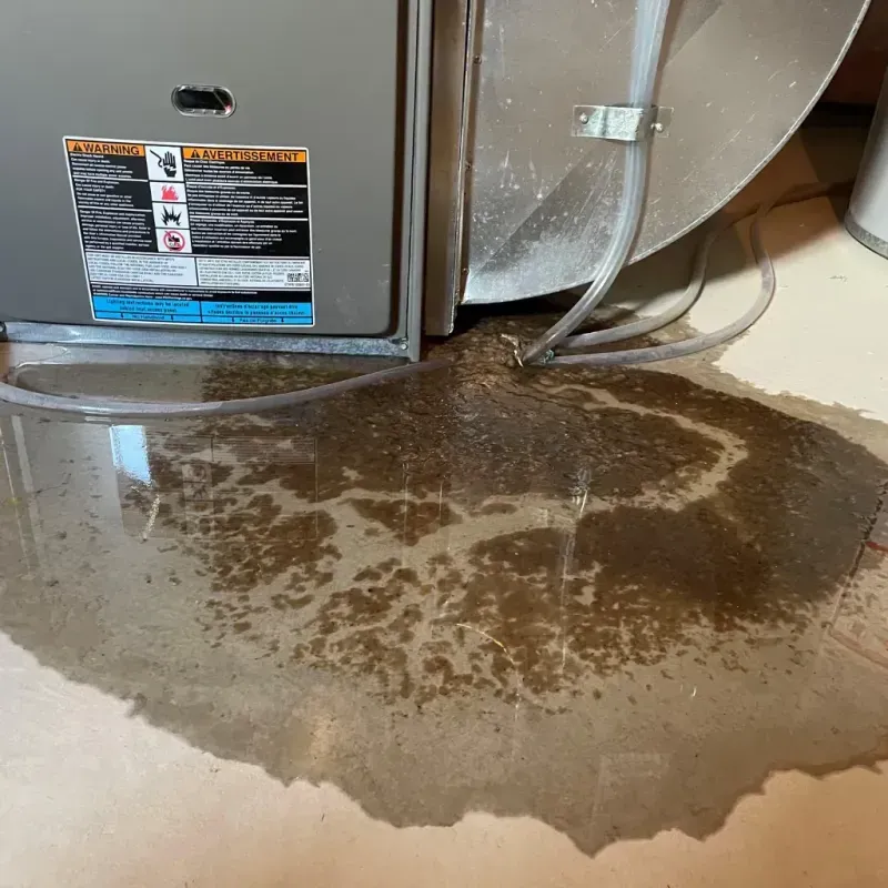 Appliance Leak Cleanup in Coldstream, KY